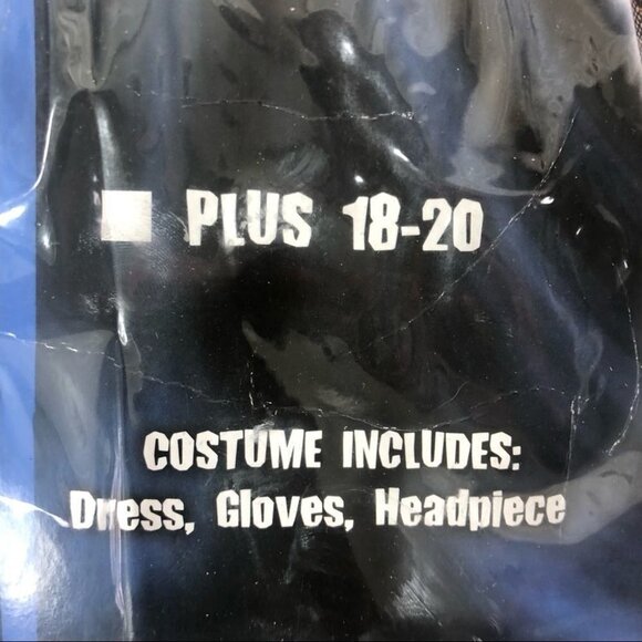 LADY of Spain Costume - Picture 11 of 13